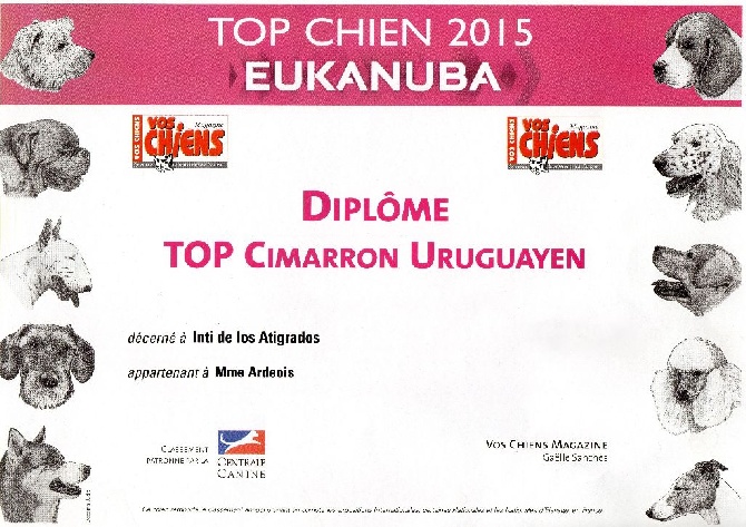 De Los Atigrados - Inti Meilleur Cimarron 2015